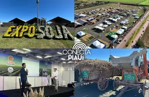 Expo Soja 2025 destaca força do agronegócio no Cerrado Piauiense (Foto: Joseph Silva / Conecta Piauí)