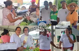 Feira da Agricultura Familiar movimenta economia em Colônia do Piauí neste sábado (26) (Foto: Reprodução)