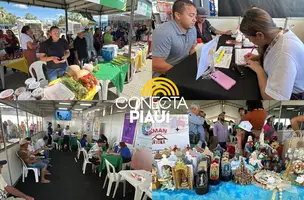 Feira do Diálogos pelo Piauí oferece serviços e reforça cidadania em Campo Maior (Foto: Conecta Piauí)