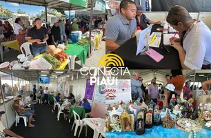 Feira do Diálogos pelo Piauí oferece serviços e reforça cidadania em Campo Maior (Foto: Conecta Piauí)