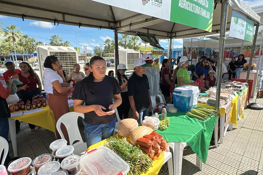 Feira do Diálogos pelo Piauí oferece serviços e reforça cidadania em Campo Maior
