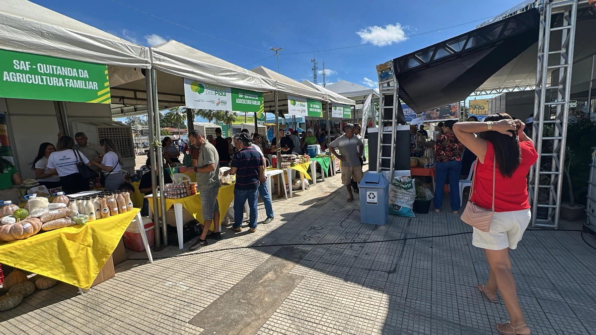 Feira do Diálogos pelo Piauí oferece serviços e reforça cidadania em Campo Maior