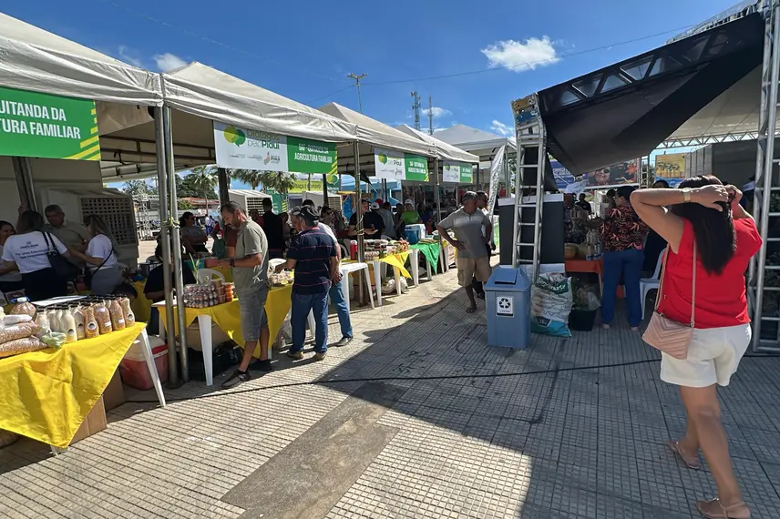 Feira do Diálogos pelo Piauí oferece serviços e reforça cidadania em Campo Maior