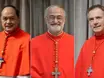 Possíveis papas: conheça os novos favoritos do Conclave