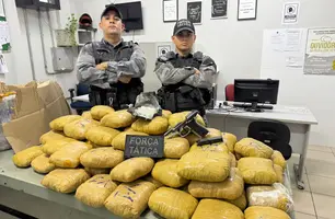 Grande quantidade de droga apreendida em Floriano (Foto: Reprodução)