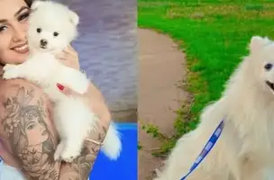 Homem mata cachorro da ex-companheira a facadas em São Paulo (Foto: Reprodução)
