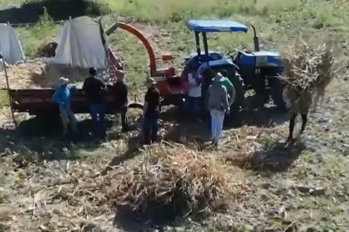 Incentivo ao homem do campo, em Simplício Mendes