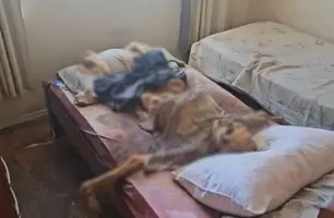 Irmãos são presos por esconder cadáver do pai por 6 meses em quarto (Foto: Reprodução)