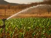 Irrigação irregular estaria prejudicando abastecimento de água em cidade do Piauí