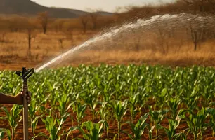 Irrigação irregular estaria prejudicando abastecimento de água em cidade do Piauí (Foto: Reprodução)