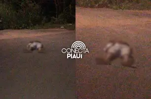 Jovem é sequestrado e assassinado com um tiro na cabeça na zona Norte de Teresina (Foto: Conecta Piauí)