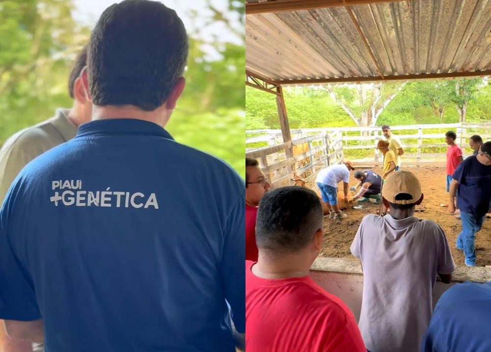 Lançamento do Piauí + Genética marca avanço na pecuária de Lagoa do Piauí