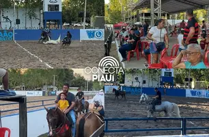 Liga Master de Vaquejada agita José de Freitas com R$ 40 mil em prêmios (Foto: Conecta Piauí)