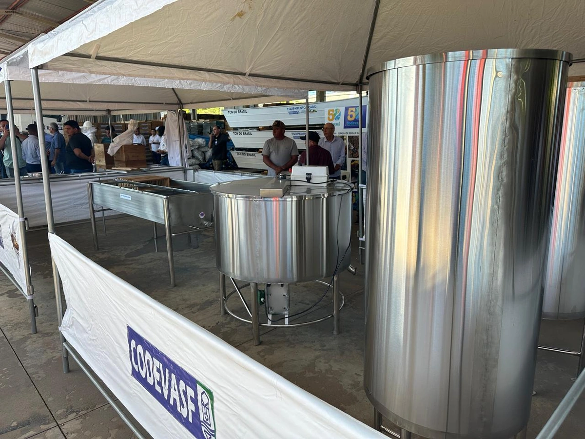 Maior entrega de colmeias do Piauí deve gerar aporte de 500 toneladas/ano de mel