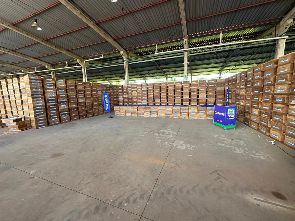 Maior entrega de colmeias do Piauí deve gerar aporte de 500 toneladas/ano de mel