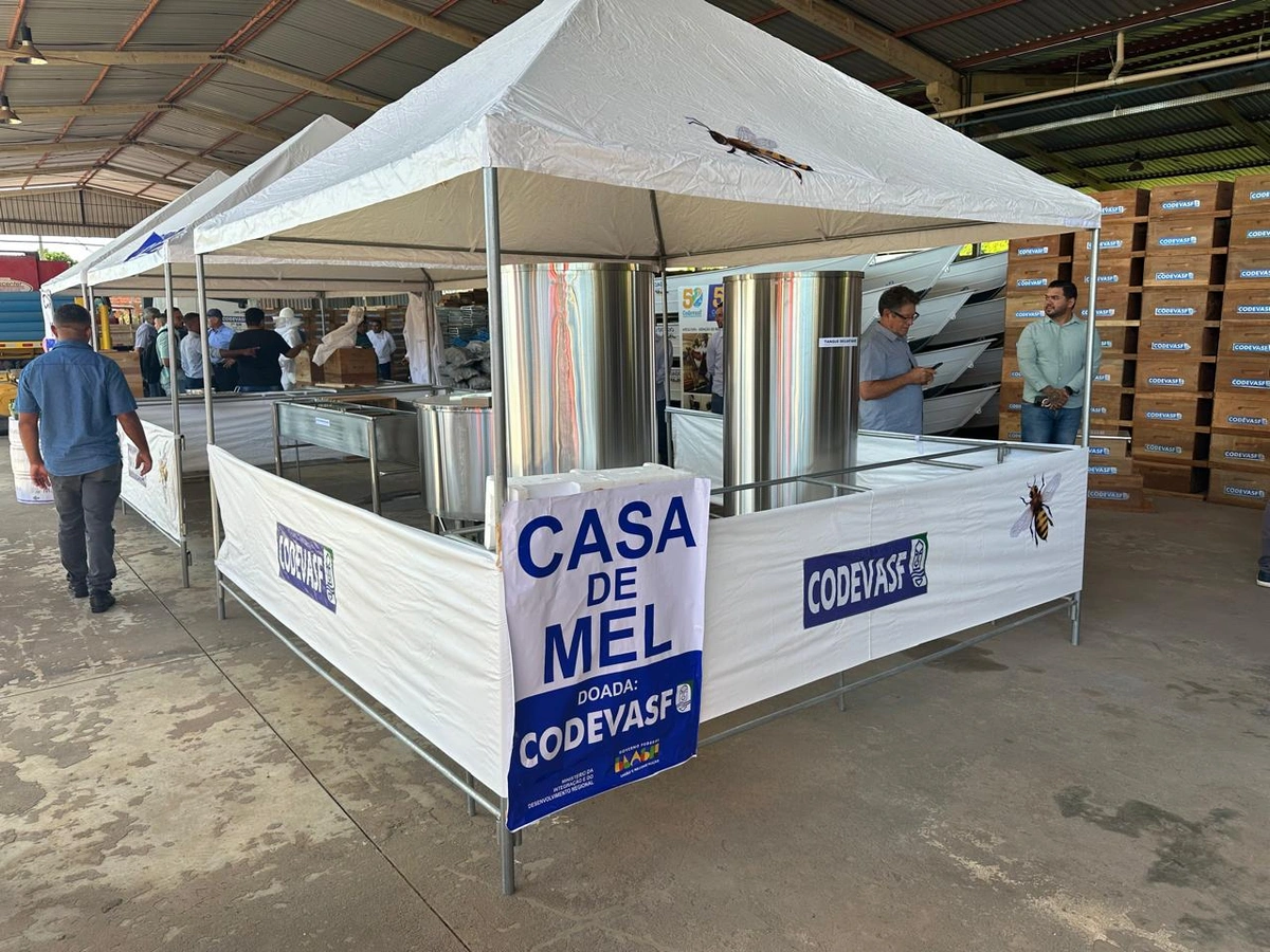 Maior entrega de colmeias do Piauí deve gerar aporte de 500 toneladas/ano de mel