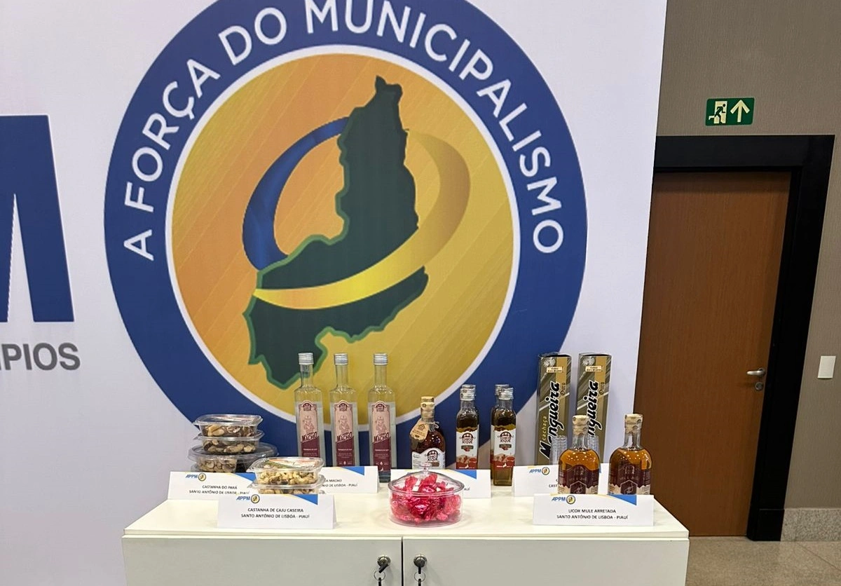 Marcha a Brasília