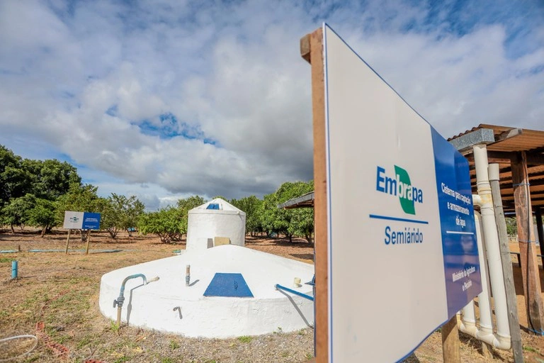 Ministro Wellington Dias e comitivas africanas conhecem tecnologias rurais em Petrolina (PE)