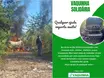 Campanha é realizada para ajudar motorista por app que teve carro incendiado