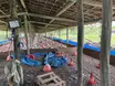 Granja em Altos é interditada por risco de desabamento e irregularidades