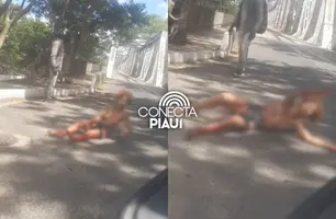 Mulher é esfaqueada na Ponte Metálica durante briga; suspeito foi preso pela PM (Foto: Reprodução)