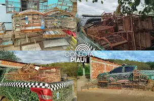 Operação “Asas Livres” resgata 21 aves silvestres em cativeiro no Piauí (Foto: Reprodução)