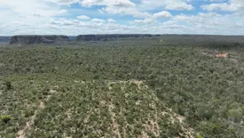 Operação da Semarh aplica multas milionárias contra desmatamento ilegal no sul do Piauí (Foto: Reprodução)