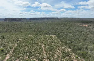 Operação da Semarh aplica multas milionárias contra desmatamento ilegal no sul do Piauí (Foto: Reprodução)