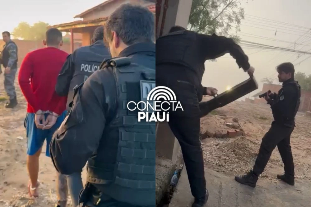 Operação DENARC 45 cumpre 30 mandados e apreende drogas, armas e dinheiro falso