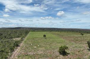 PI: operação da Semarh aplica multas milionárias contra desmatamento ilegal no sul (Foto: Reprodução)