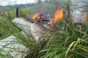 Pilotos de avião com 200 kg de maconha são presos no Pará (Foto: Reprodução)