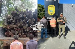 PM apreende caminhão com madeira ilegal no Sul do Piauí (Foto: Reprodução)