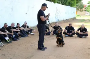 PM-PI abre inscrições para treinamento para atuação com cães policiais (Foto: Reprodução)