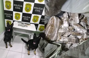 Polícia Civil realiza operação na 'Cidade Sem Deus' e prende suspeito por tráfico (Foto: Reprodução/SSP)
