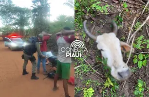Polícia intensifica Operação Saturação contra roubo de gado em povoados de Nazária (Foto: Repórter 12/Conecta Piauí)