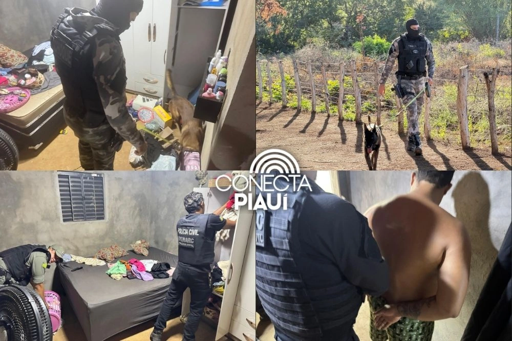 Polícia prende 5 e cumpre 13 mandados em operação no interior do Piauí