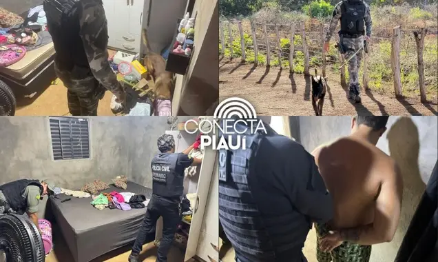 Polícia prende 5 e cumpre 13 mandados em operação no interior do Piauí