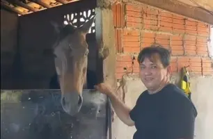 Prefeito de Bom Princípio participa de festa em homenagem a cavalo campeão (Foto: Reprodução)