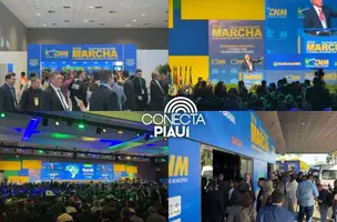 Prefeitos do Piauí participam da XXVI Marcha a Brasília (Foto: Conecta Piauí)