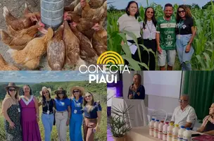 Prefeitura de Curralinhos recebe equipe PNAE para fortalecer alimentação escolar (Foto: Reprodução)
