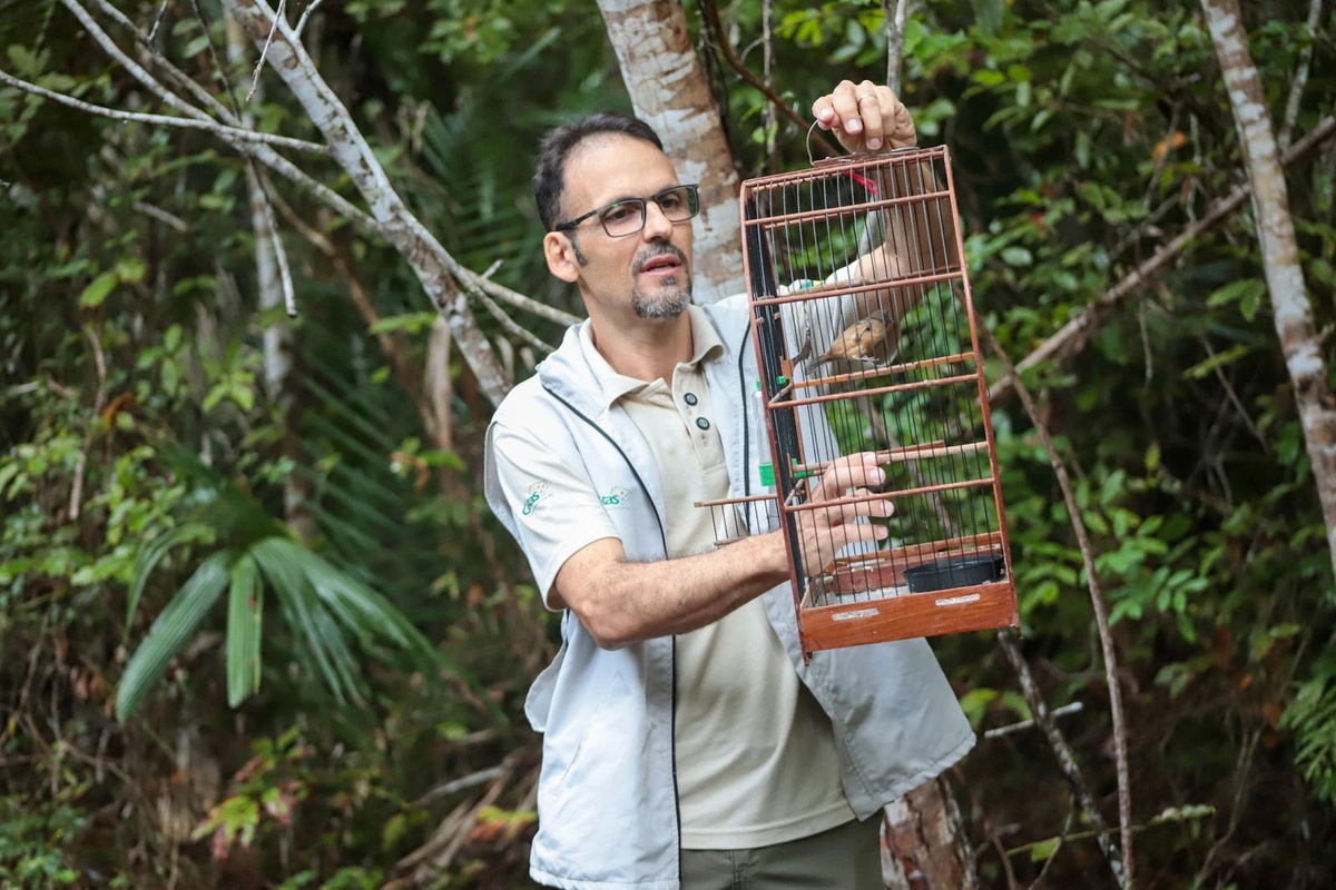 Prefeitura de Timon realiza soltura de aves silvestres no Sítio Tamboril