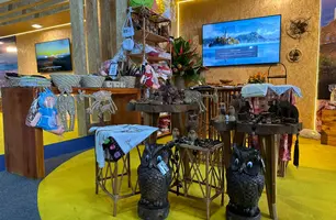 São Raimundo Nonato apresenta riquezas da Serra da Capivara na maior Feira de Turismo do Piauí (Fetur) (Foto: Reprodução)