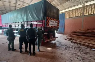 Semarh realiza Operação Carcará 01 e aplica multa de R$ 550 mil em crimes de desmatamento ilegal no Piauí (Foto: Divulgação/GOV)