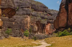 Semarh renova com União acordo para conservar biomas brasileiros (Foto: Ascom Semarh)
