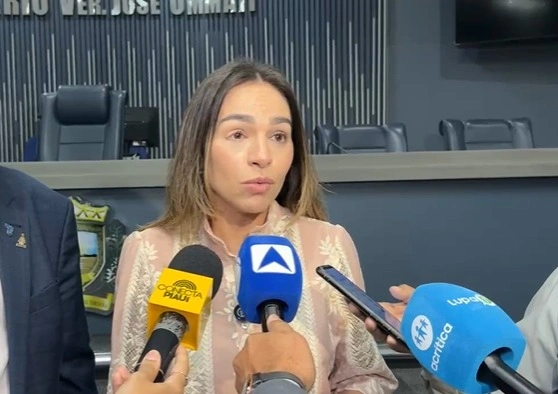 Sessão na Câmara celebra dois anos do programa Pacto pelas Crianças do Piauí