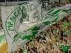 Juventude recebe Atlético-MG na luta contra Z4; veja onde assistir!