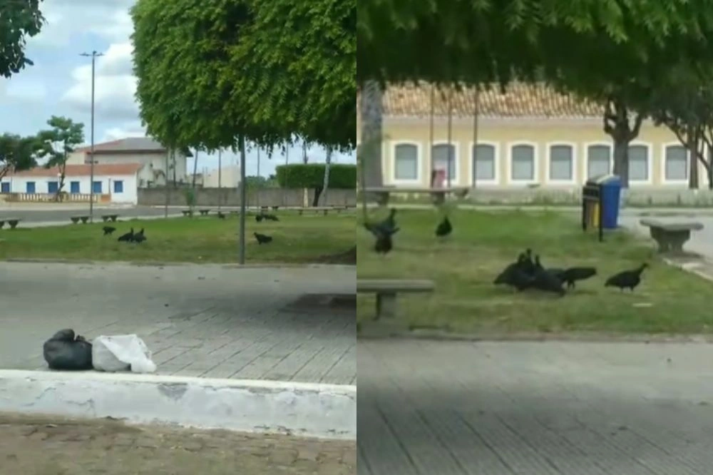 Urubus e lixo tomam conta da Praça das Vitórias no Dia das Mães em Oeiras
