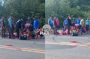 Vaca morre atropelada na estrada de Altos e carne é saqueada por populares (Foto: Reprodução)