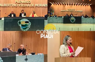 Vereadora Alessandra Lopes preside sessão e destaca força feminina no Legislativo (Foto: Assessoria)