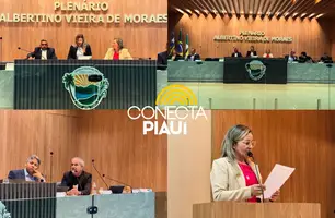 Vereadora Alessandra Lopes preside sessão e destaca força feminina no Legislativo (Foto: Assessoria)